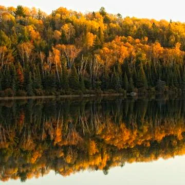 Fall colours reflected in a lake, Algonquin Provincial Park, Ontario, Canada. Stock Photos