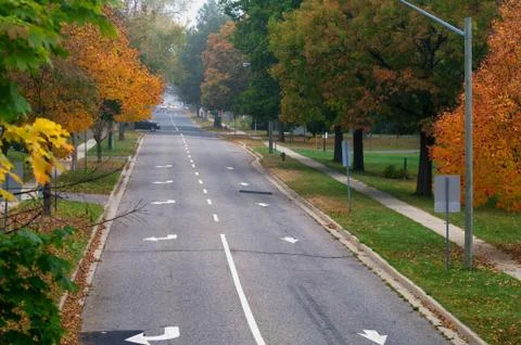 Fall colours on a tree lined street Stock Photos