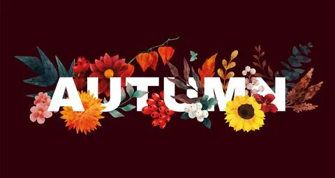 Fall composition Autumn letters and floral elements Stock Illustration