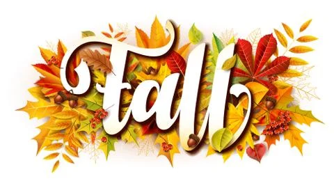 Fall composition with fallen leaves and rowan and acorns Stock Illustration