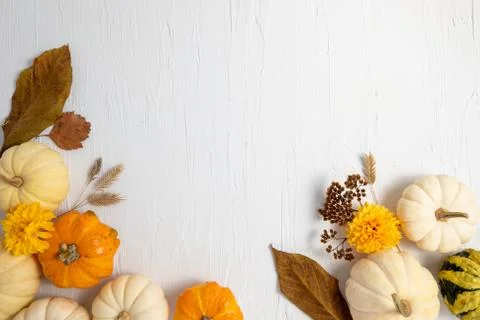 Fall composition with white horizontal space for copy Stock Photos