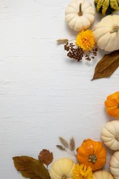 Fall composition with white horizontal space for copy Stock Photos