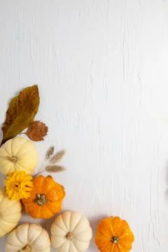 Fall composition with white space for copy Stock Photos