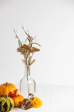 Fall composition with white space for copy Stock Photos