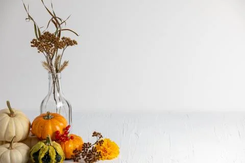 Fall composition with white space for copy Stock Photos