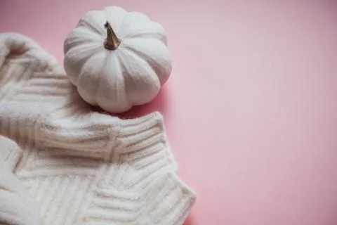 Fall composition with white sweater and pumpkin Stock Photos