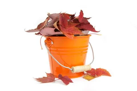 Fall concept Stock Photos