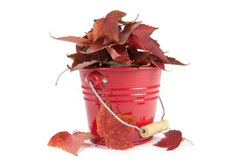 Fall concept Stock Photos