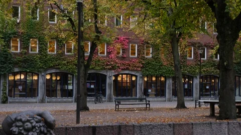 Fall in Copenhagen Stock Footage 218257035