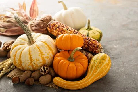 Fall copyspace with decorative pumpkins Stock Photos