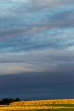 Fall Corn Sunset. Stock Photos