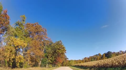 Fall Country Road in Motion, trees and corn field Stock Footage 12211836