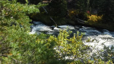 Fall Creek Rapids on Green Lakes Trail in Slow Motion Stock Footage