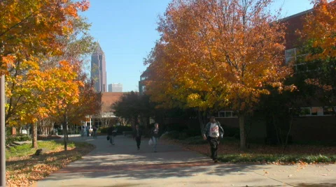 Fall Day Stock Footage 284457