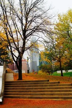 Fall Day Stock Photos