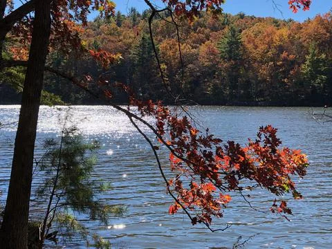 Fall Day Stock Photos