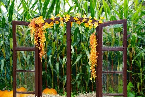 Fall decoration consisting of an old window frame decorated with orange and.. Stock Photos