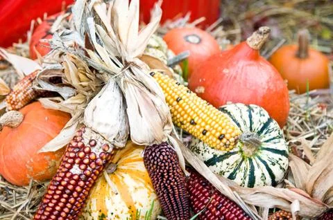 Fall decoration Stock Photos