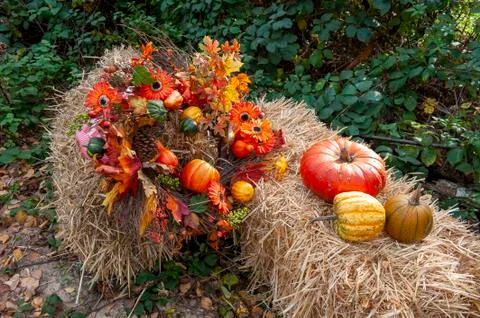 Fall decoration Foto stock