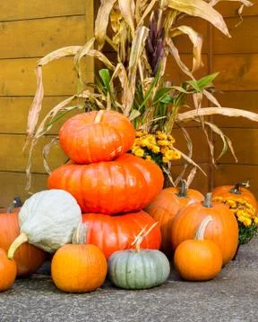 Fall decorations of pumpkins Stock Photos