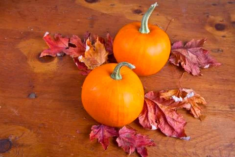 Fall decorative pumpkins Stock Photos
