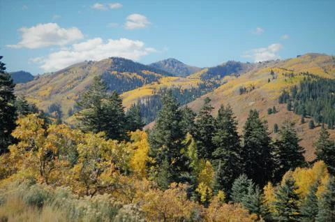 Fall in Deer Valley Stock Photos