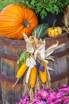 Fall display Stock Photos