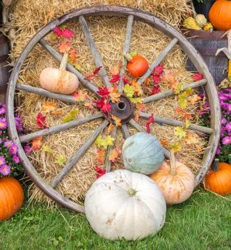 Fall display Stock Photos