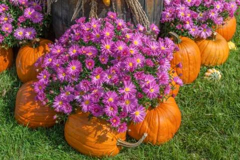 Fall display Stock Photos