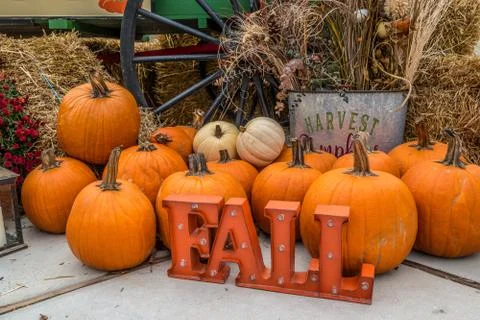 Fall display Stock Photos