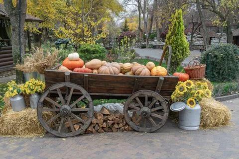Fall display of pumpkins and flowers on a cart Stock Photos