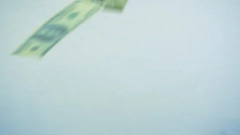 Fall dollars on white background. Stock Footage 106140866