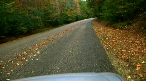 Fall DRIVE Stock-Footage 642695