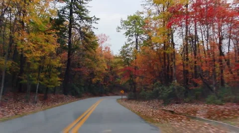 Fall drive Vídeos de archivo 1098056