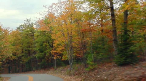 Fall drive 스톡 동영상 1098206