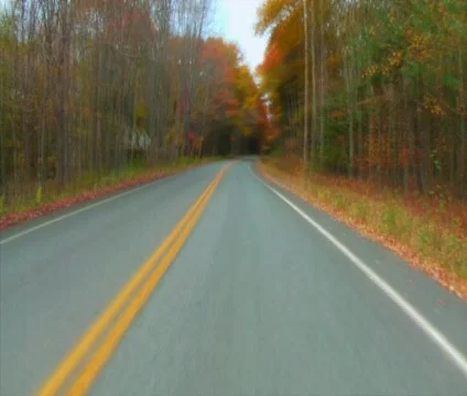 Fall drive HD time lapse Stock Footage 565115