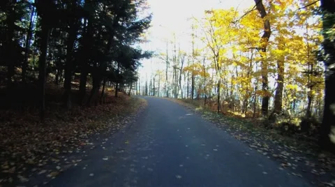 Fall Driving POV 2 Vidéo 45616118