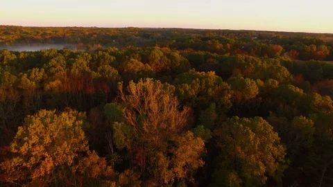 Fall Drone 4 Stock Footage 97071408