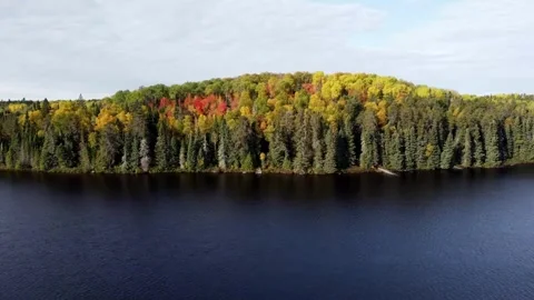 Fall drone shoreline Stock Footage 301359837