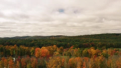 Fall Drone Trees Colors Video stock 251588319