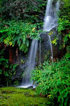 Fall in eden Stock Photos