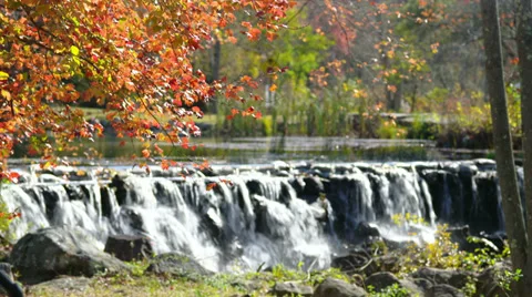 Fall falls Stock Footage 34449165