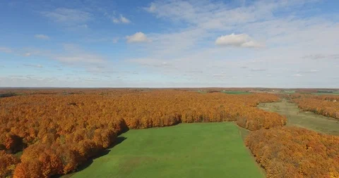 Fall Farm Dolly Out Video stock 96439981