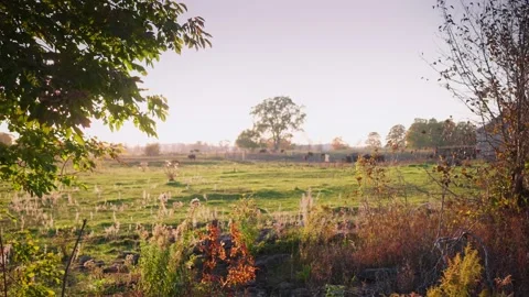 Fall Farm Fields Stockbeeldmateriaal 219522105