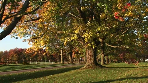Fall at a farm 動画素材 72572161