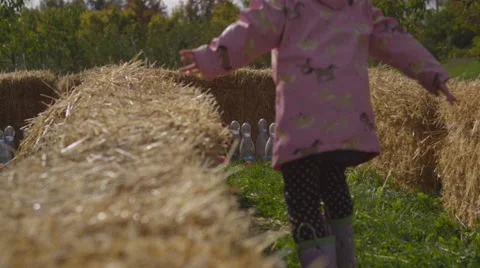 Fall farm fun Vídeo Stock 58820958