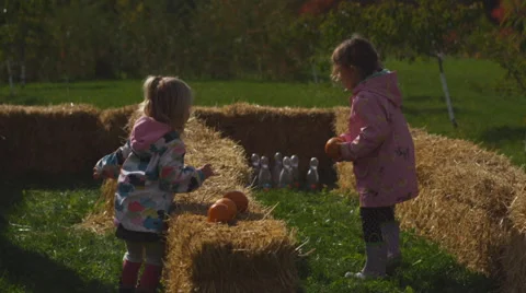 Fall farm fun Vídeo Stock 58821204