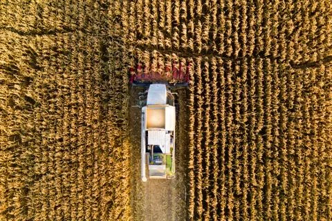 Fall farming works Stock-Fotos