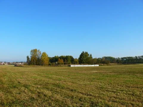 Fall field view of the landscape Foto stock