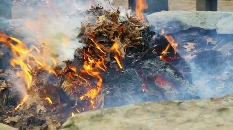 Fall fire 動画素材 752639